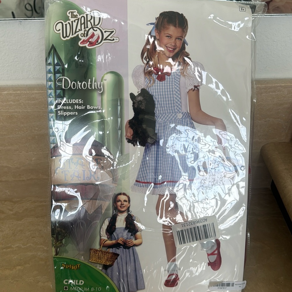 Kids Dorthy costume